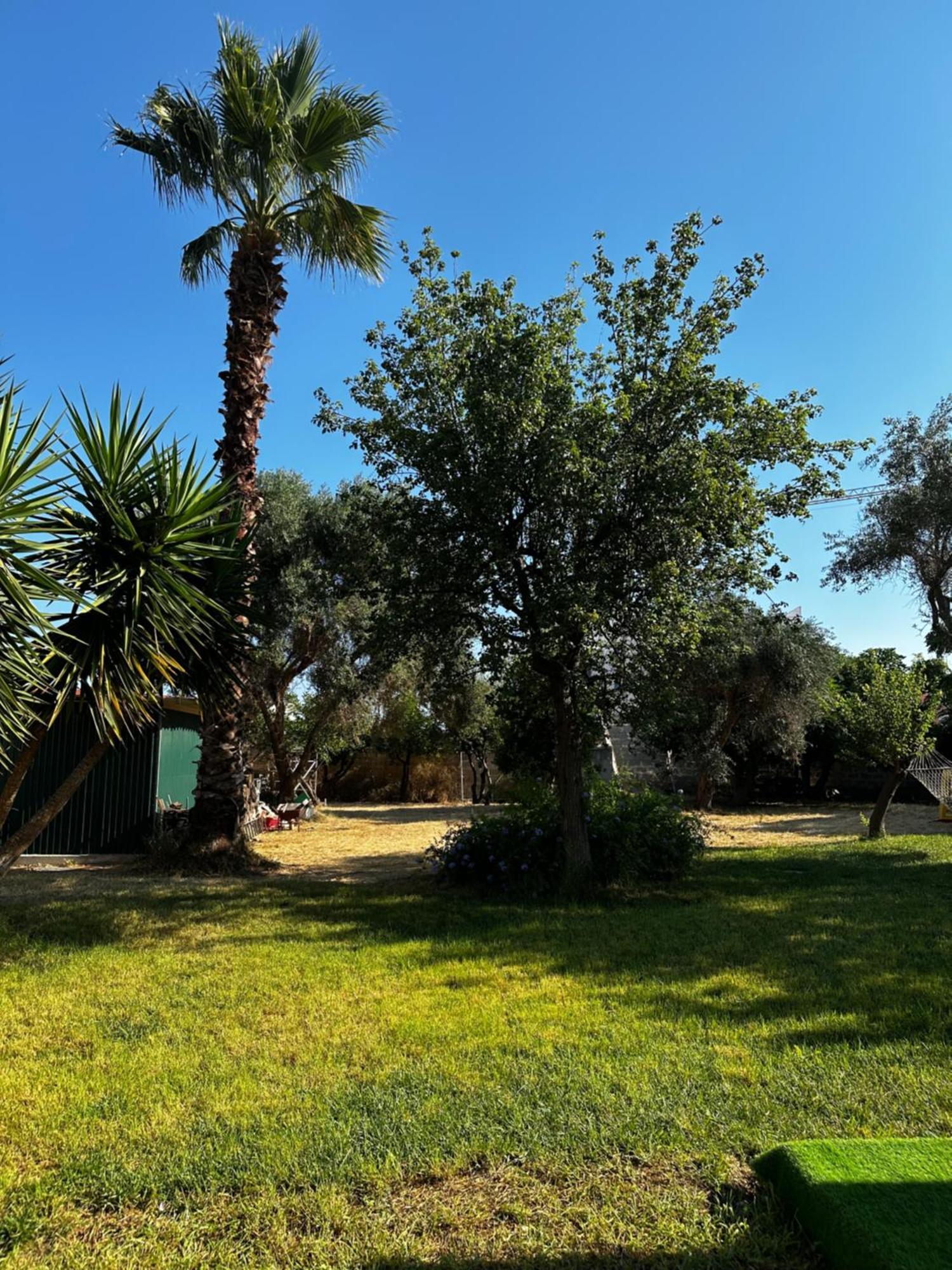 Il Gelsomino Luxury Bed and breakfast *
